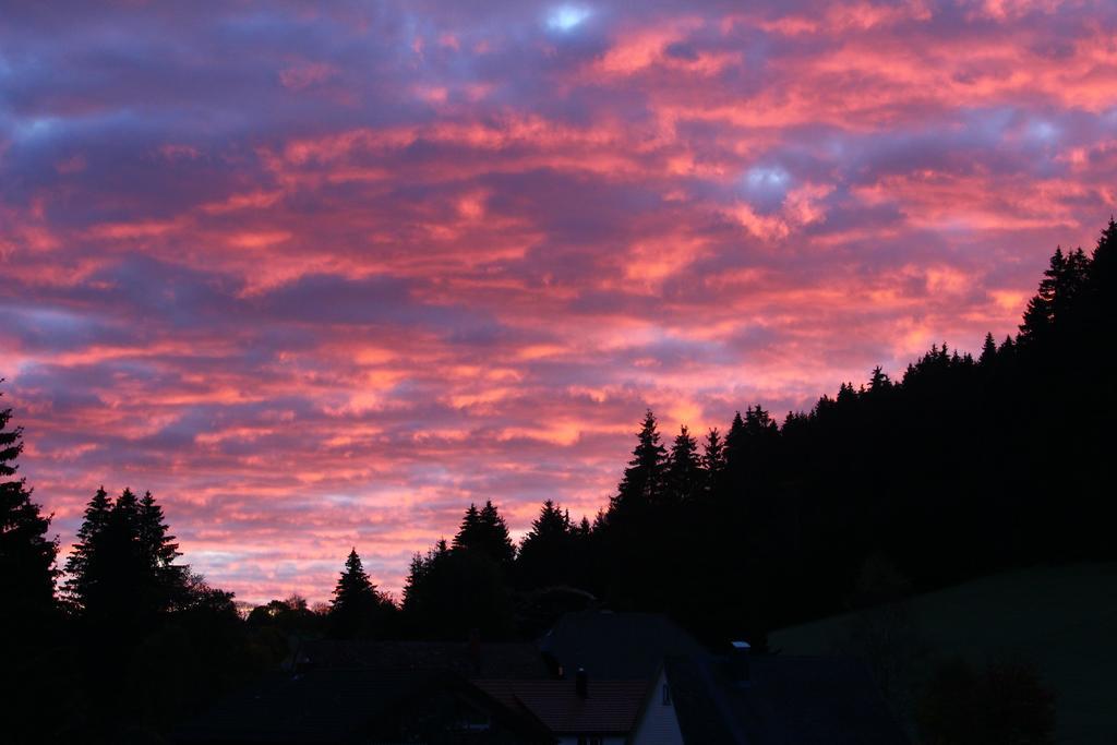 Gasthof Schwarzwaldtanne Schönwalde Zewnętrze zdjęcie