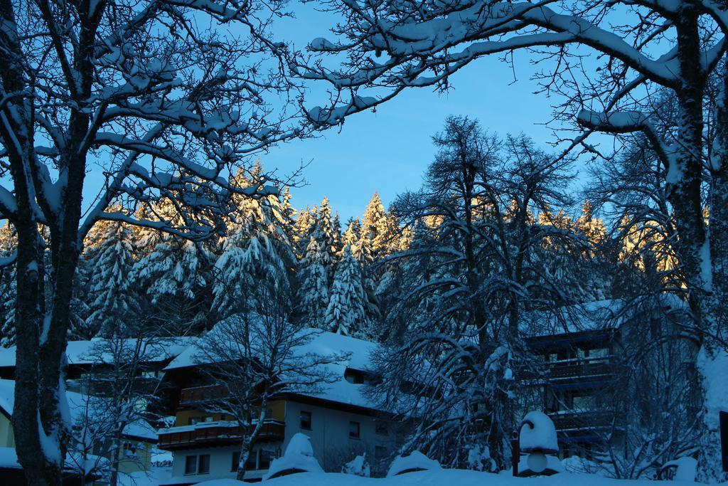 Gasthof Schwarzwaldtanne Schönwalde Zewnętrze zdjęcie