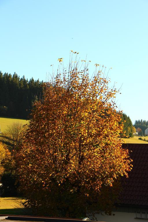 Gasthof Schwarzwaldtanne Schönwalde Zewnętrze zdjęcie